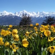 Lalkuan News Today: लालकुआं की ताजा खबरें और लेटेस्ट अपडेट